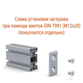 Заглушка торцевая серебряная 50х100 мм на профиль серии 50